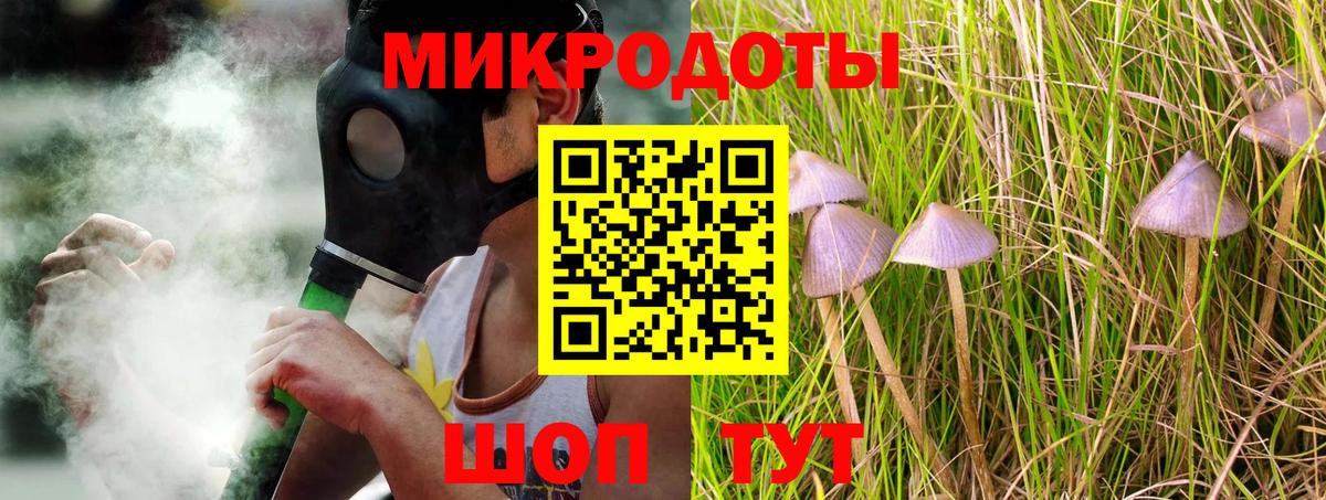 Галлюциногенные грибы Psilocybe Чебоксары